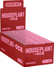 24CT HOUSEPLANT by Seth Rogen OCB Brown Rice Rolling Papers