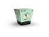 Blazy Susan Cones 1 ¼ Size 21ct/6pk | Assorted Colors